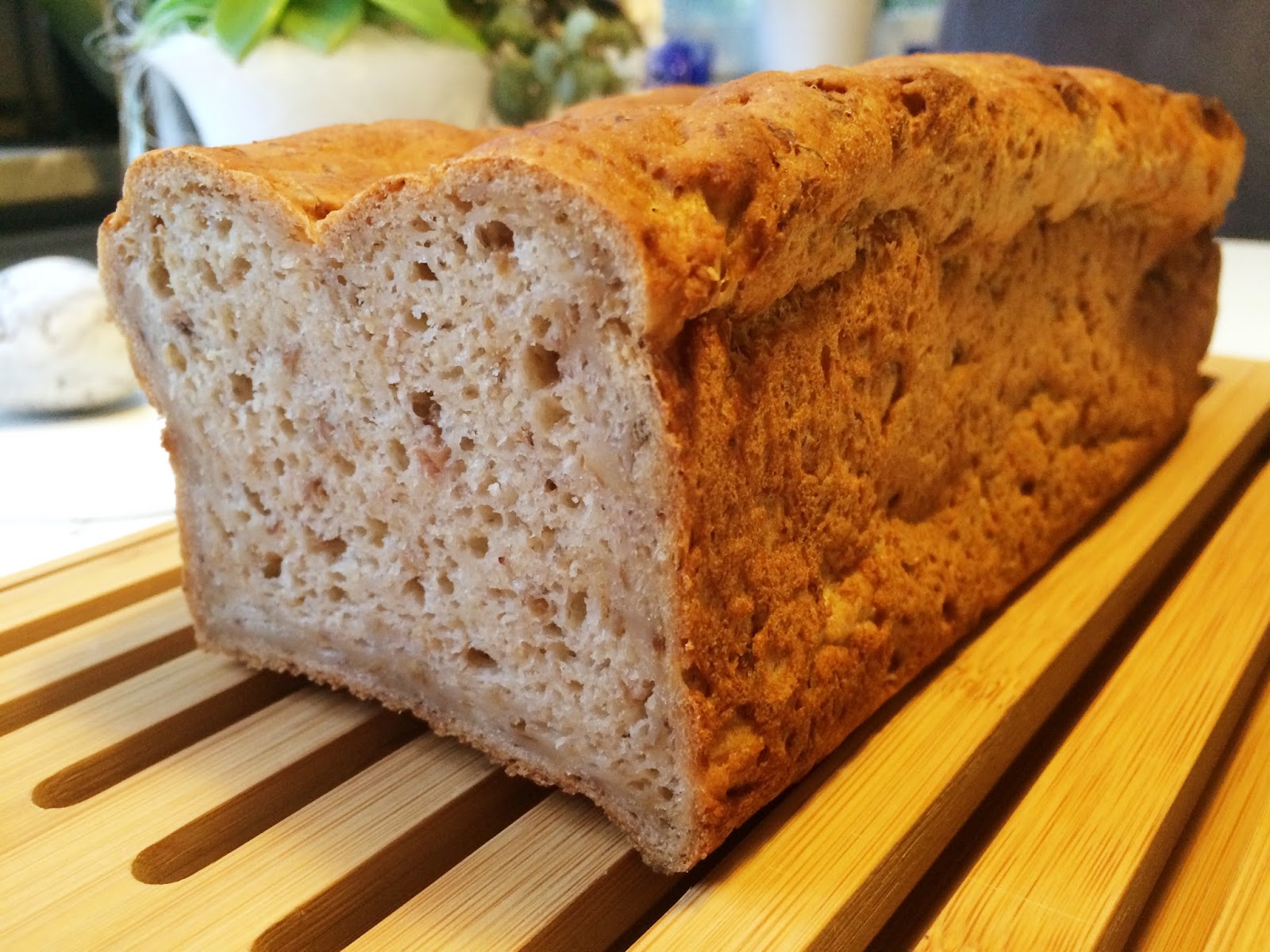 glutenfritt bröd recept havregryn glutenfritt bröd recept havregryn